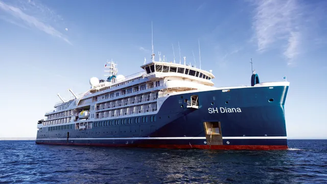 Лайнер SH Diana
